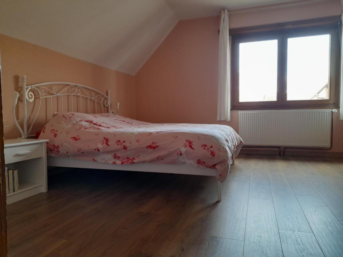 Appart 4 Pers Refait Neuf 90M2 Avec Balcon Baldenheim Eksteriør bilde
